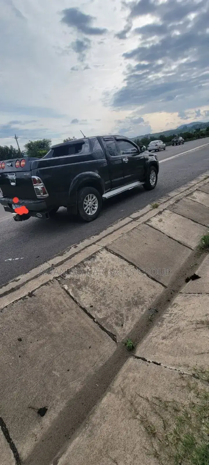 Toyota Hilux 2010 Blue