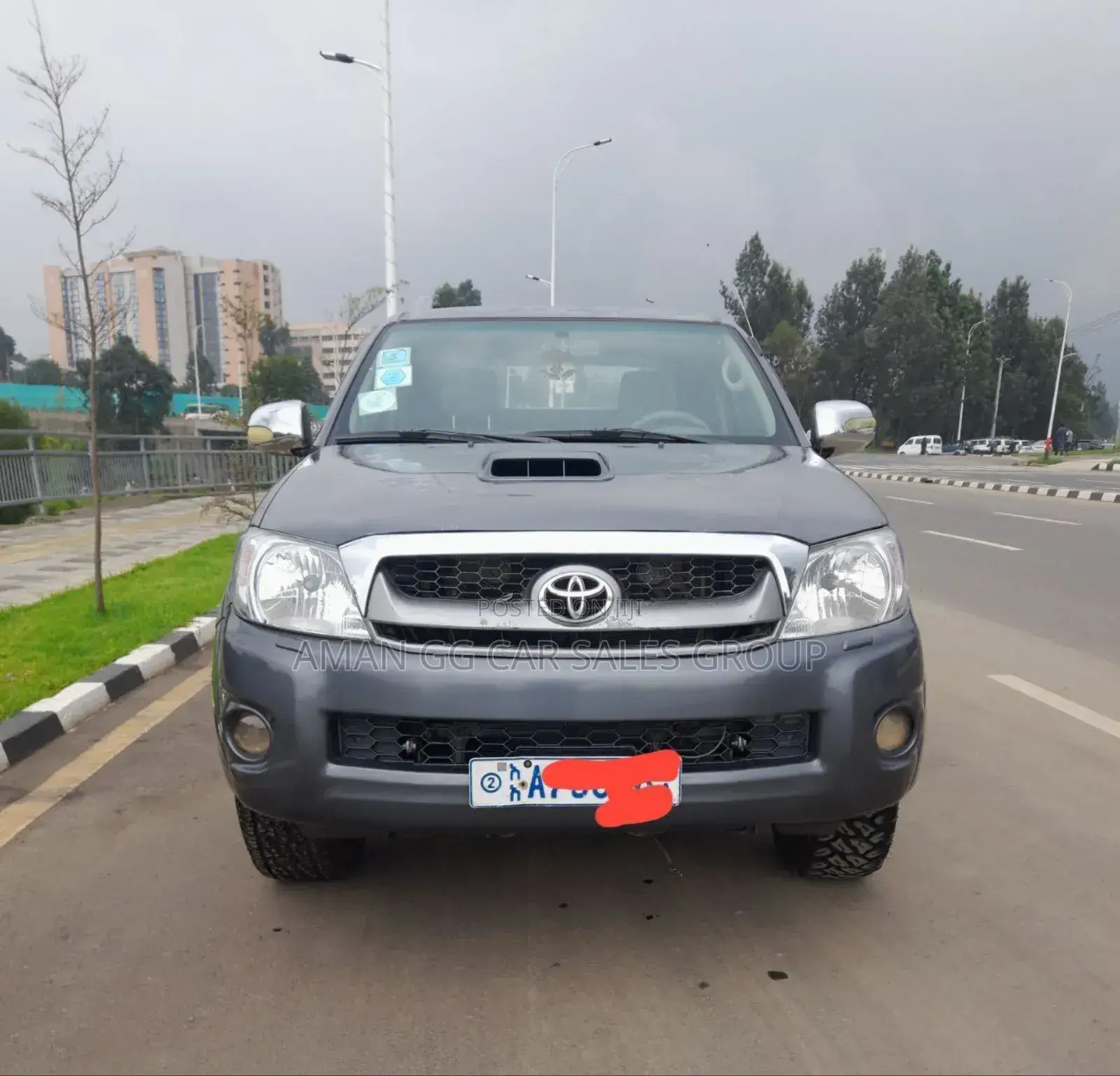 Toyota Hilux 2010 Blue