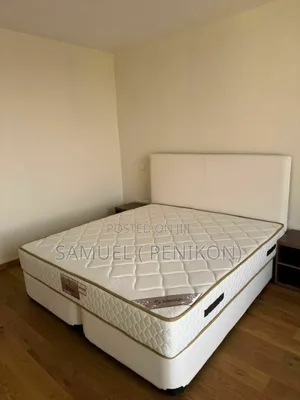 Furnished 3bdrm Apartment in Luxury Apartment, Bole for rent