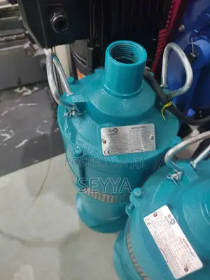 Photo - Summersible Pump