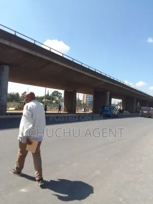 2,300 Meter Square Bole Beras