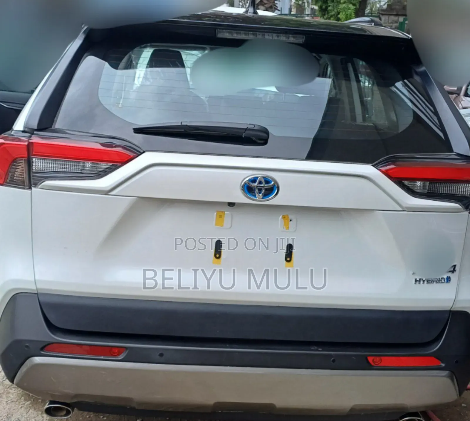 New Toyota RAV4 LE AWD 2024 White