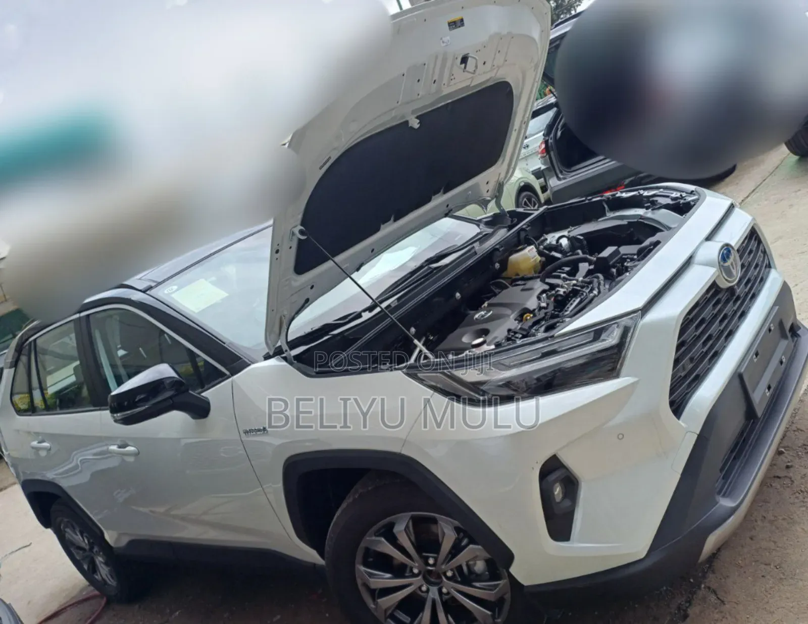 New Toyota RAV4 LE AWD 2024 White