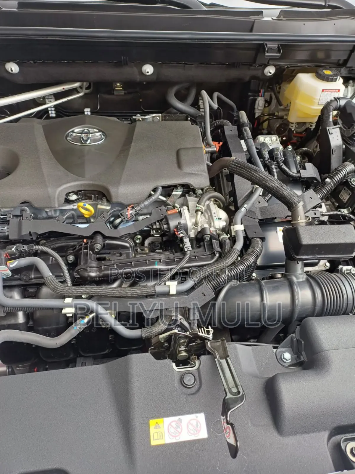 New Toyota RAV4 LE AWD 2024 White