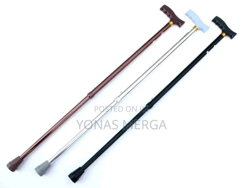 Walking Stick|Cane Fullgaden Upgrad Version Hiking/Trekking