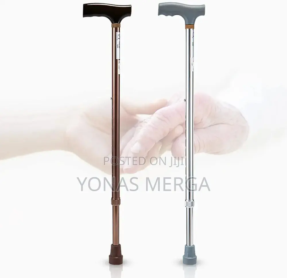 Carrying Case Parent Gift Walking Stick/Injuries to Ligament