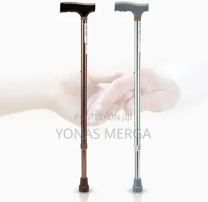 Photo - Carrying Case Parent Gift Walking Stick/Injuries to Ligament