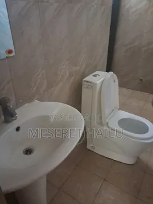 1bdrm Apartment in Bole for rent