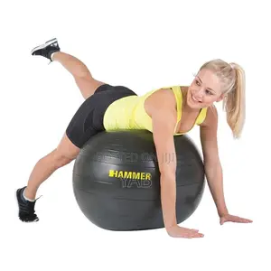 Photo - Stability Ball ( Gym )
