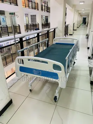 Photo - Electric Hospital Bed Three Function237hospital Bed