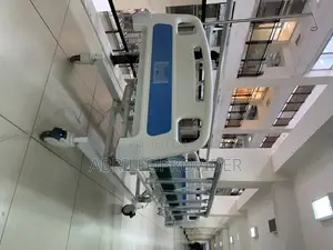 Electric Hospital Bed Three Functions256hospital Bed