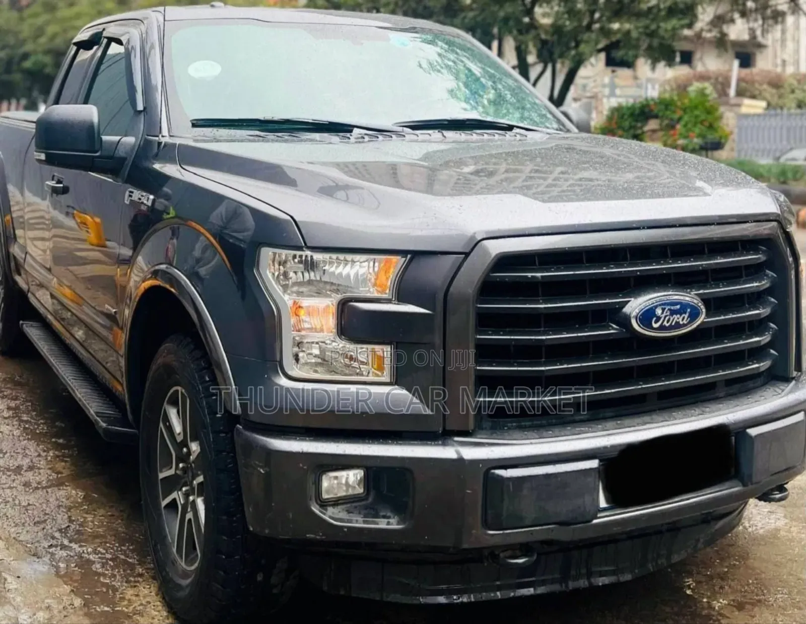 Ford F-150 2016 Gray