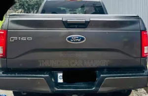 Ford F-150 2016 Gray