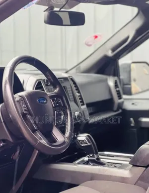 Ford F-150 2016 Gray