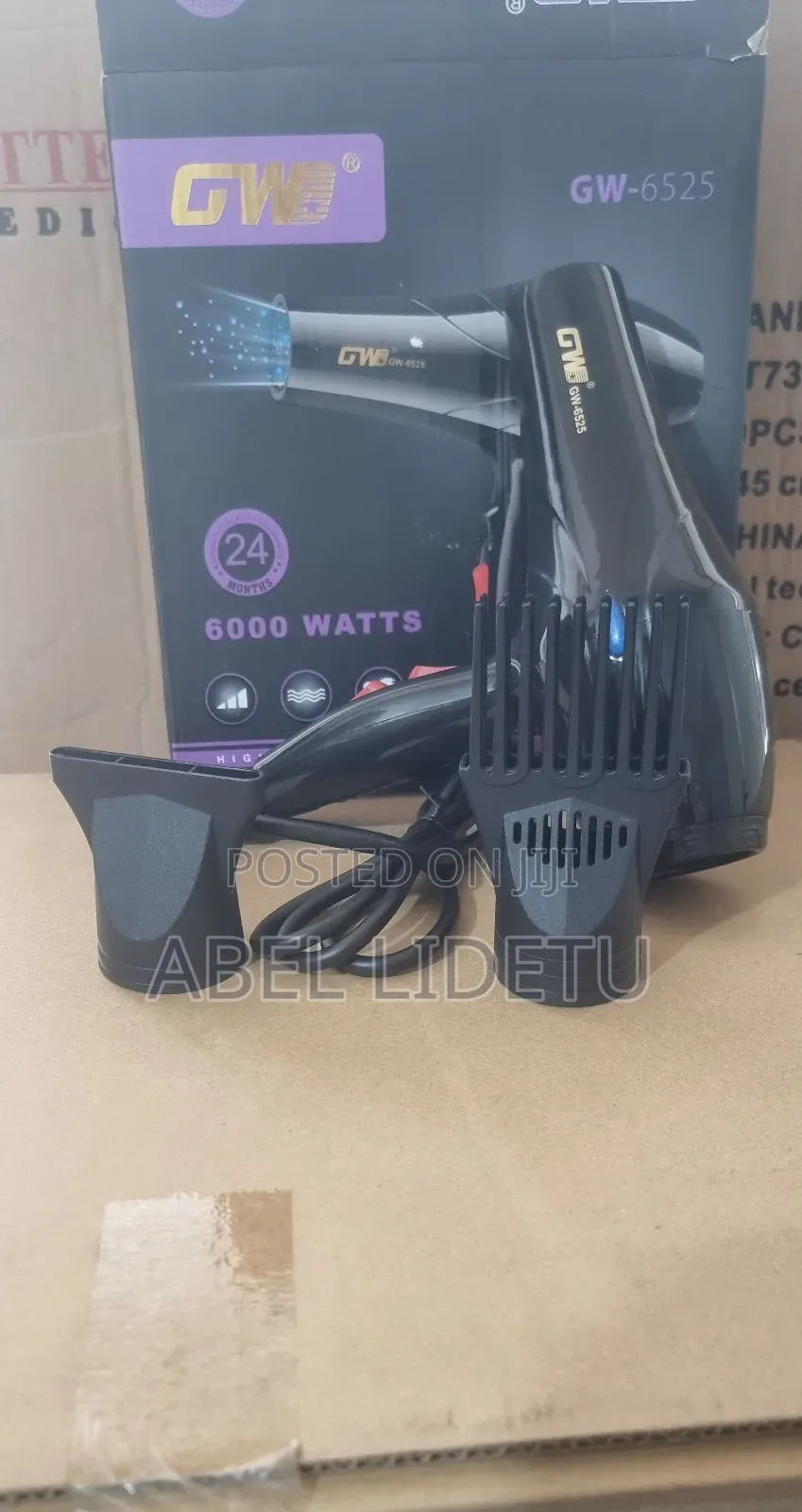 GW Hair Dryer