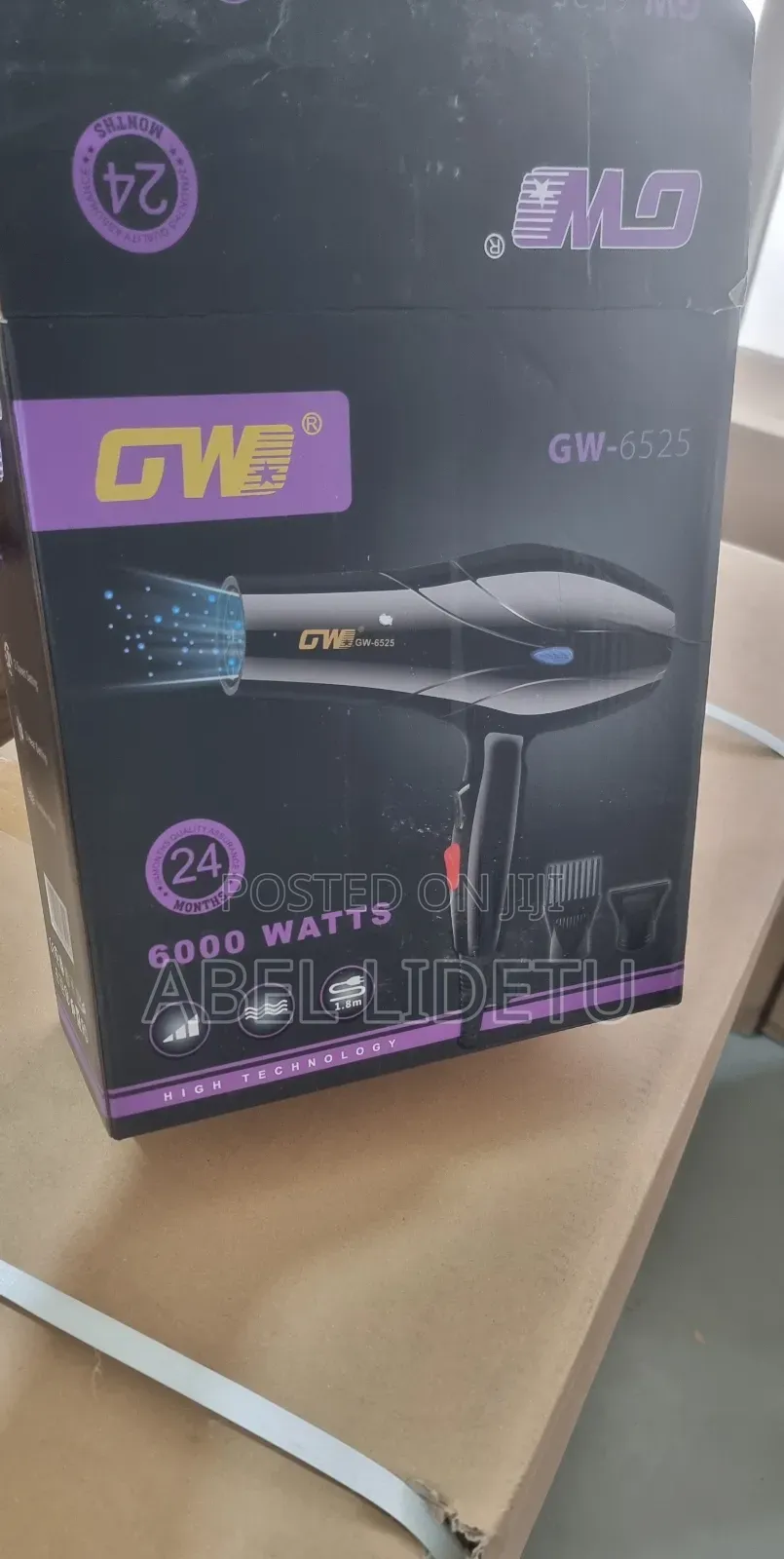 GW Hair Dryer