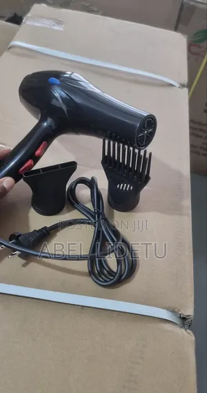 GW Hair Dryer