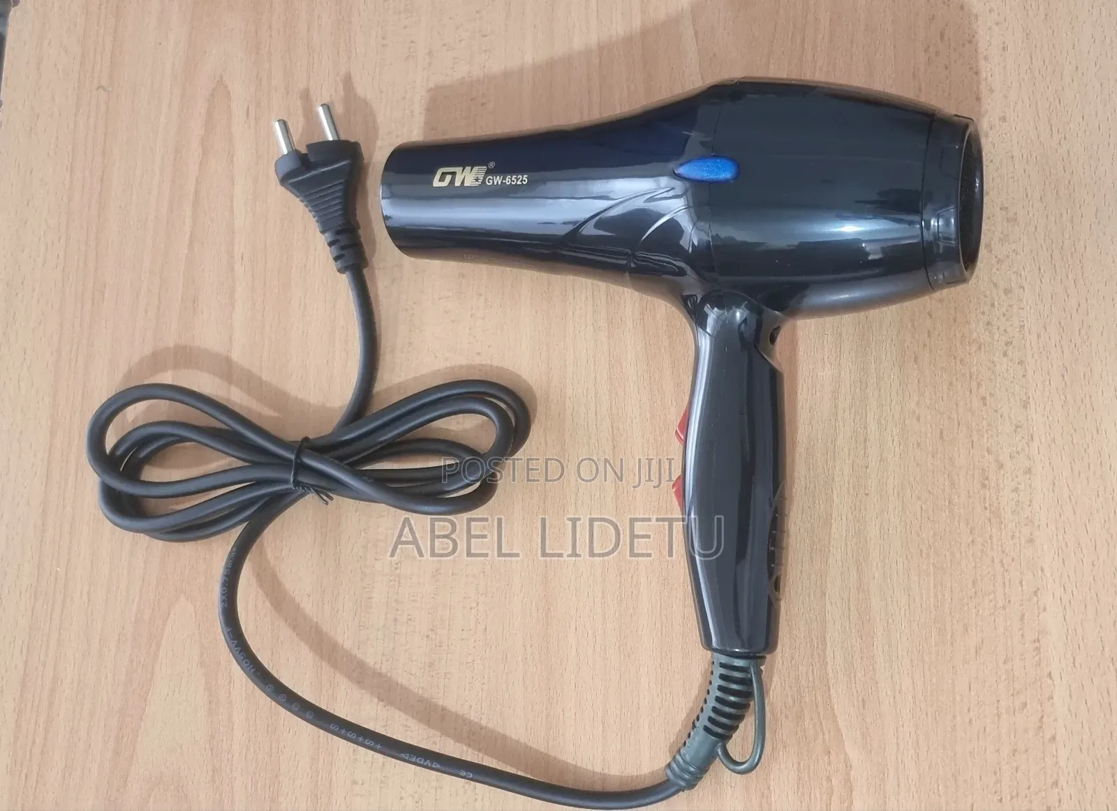 GW Hair Dryer