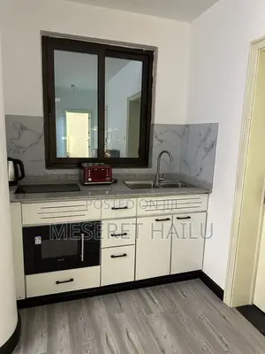 Furnished 1bdrm Apartment in Bole for rent