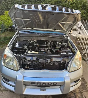 Toyota Land Cruiser Prado 2010 Silver