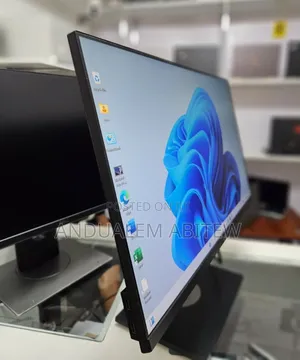 Dell 24 Inch Frameless Monitor