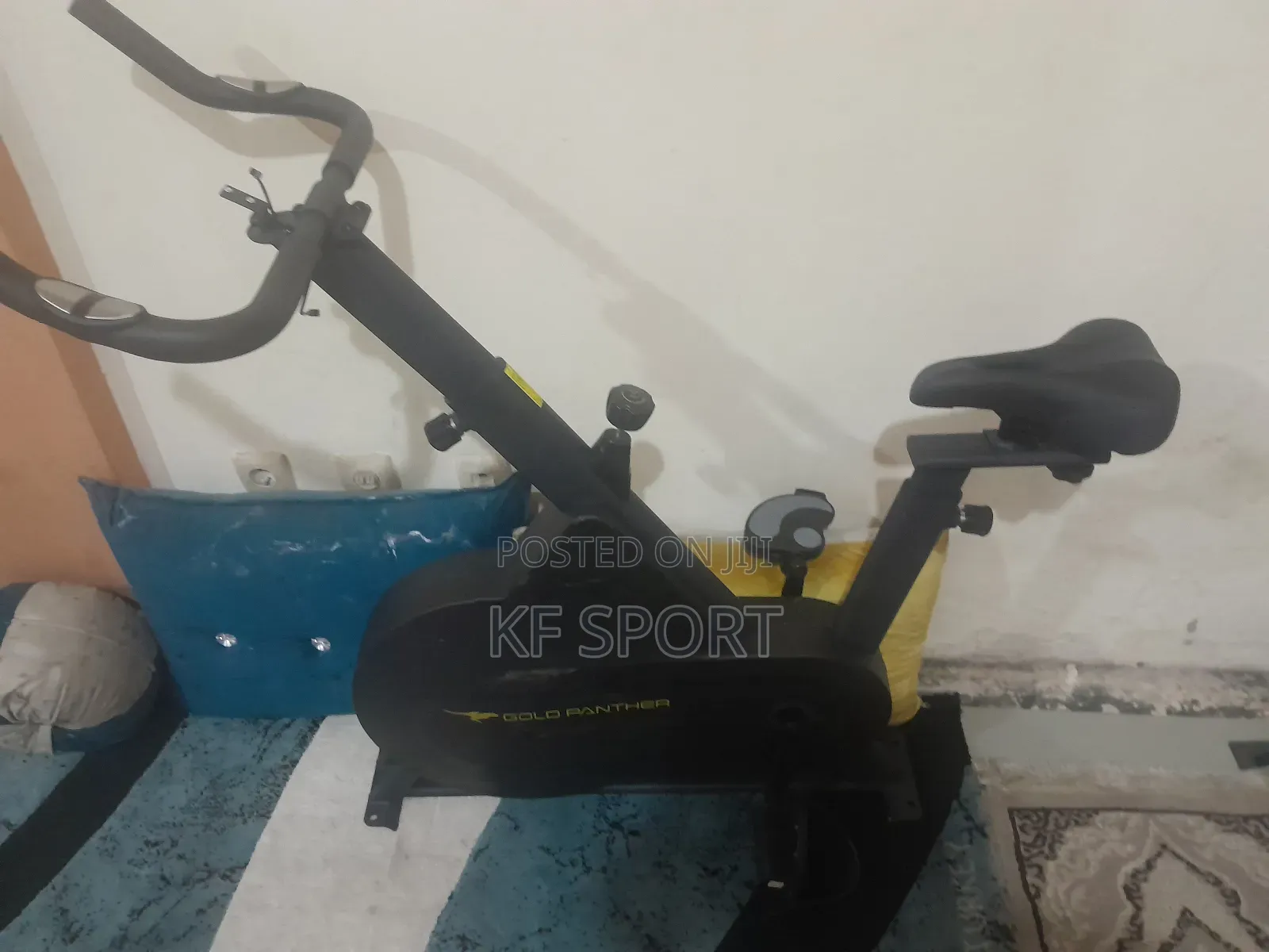 Goldpanther Exercises Bike