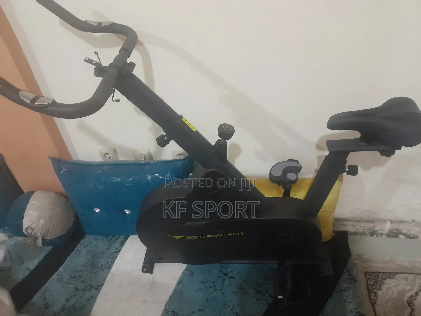 Goldpanther Exercises Bike