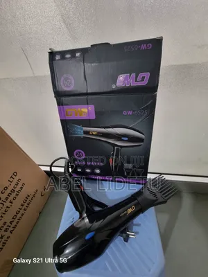 GW-6540 Hair Dryer