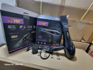 GW-6540 Hair Dryer