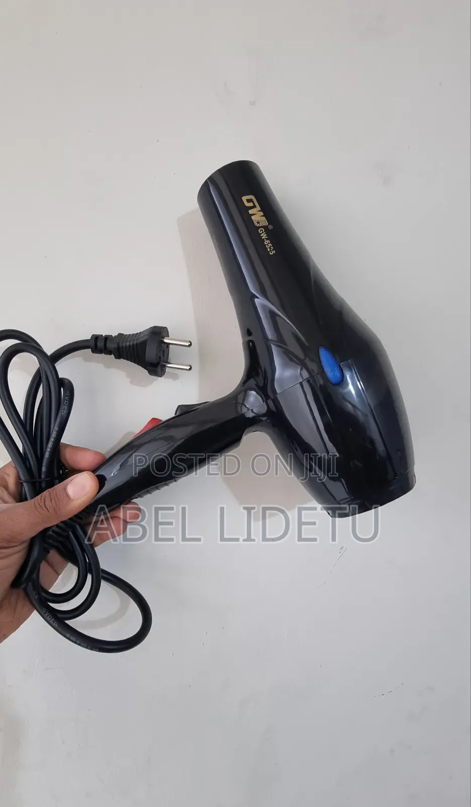 GW Black Hair Dryer