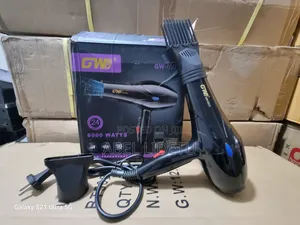 GW Black Hair Dryer