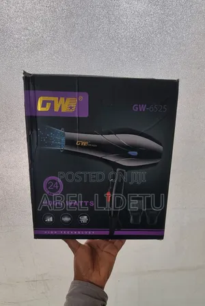 GW Black Hair Dryer
