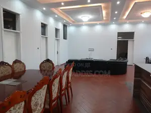 Furnished 3bdrm Apartment in Lideta for rent