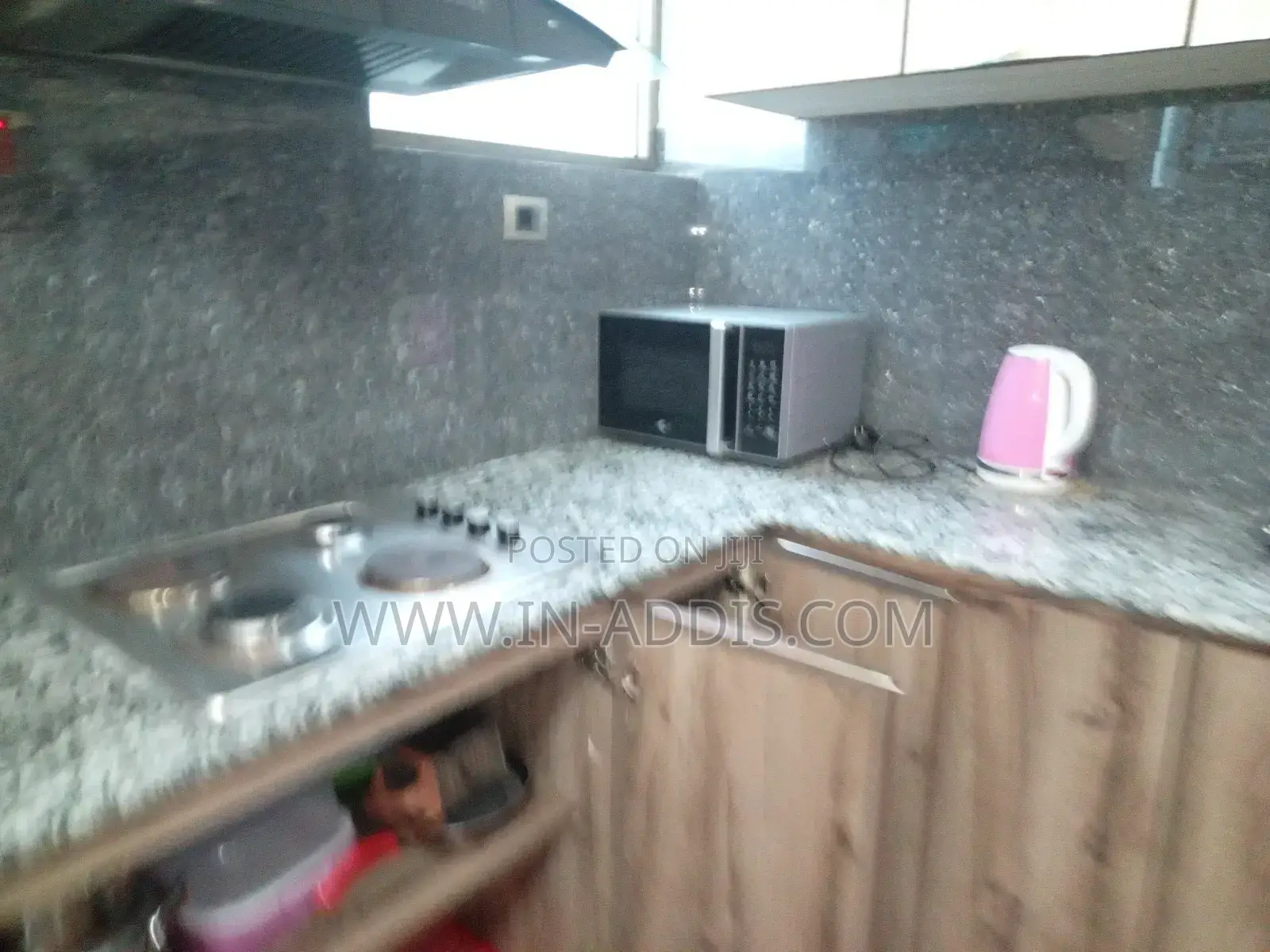 Furnished 3bdrm Apartment in Lideta for rent