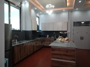 Furnished 3bdrm Apartment in Lideta for rent