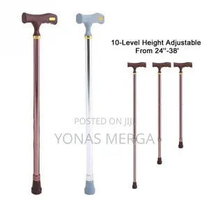 Walking Stick Extend Aluminum Assorted (Each)- Self Standing