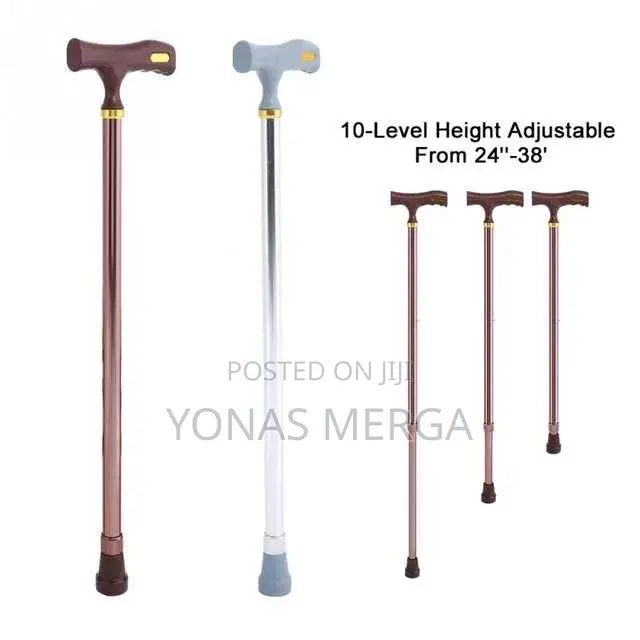 Walking Stick Extend Aluminum Assorted (Each)- Self Standing