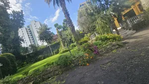 3bdrm House in Bole for rent