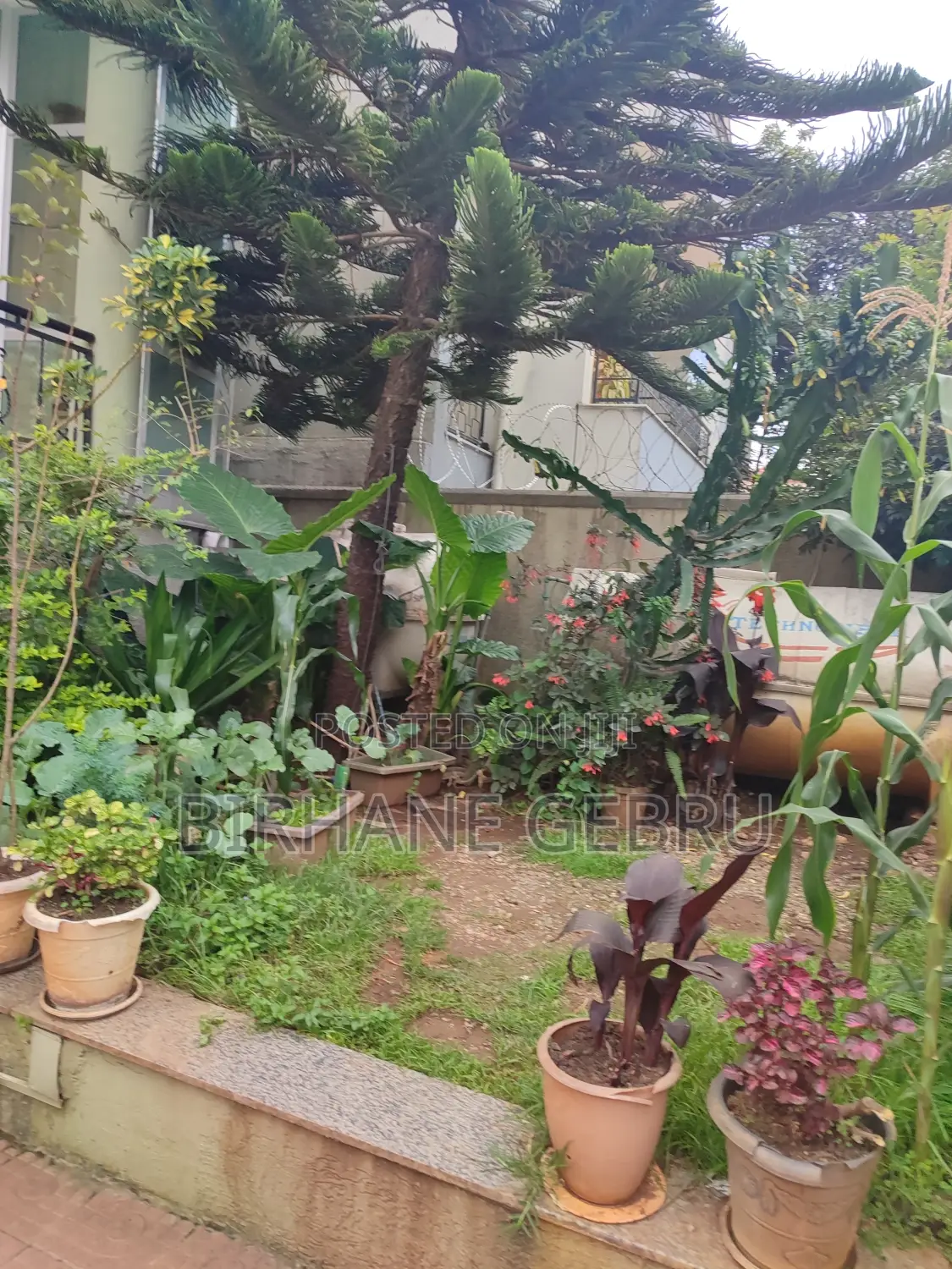 8bdrm House in G+2 Rent House, Nifas Silk-Lafto for rent