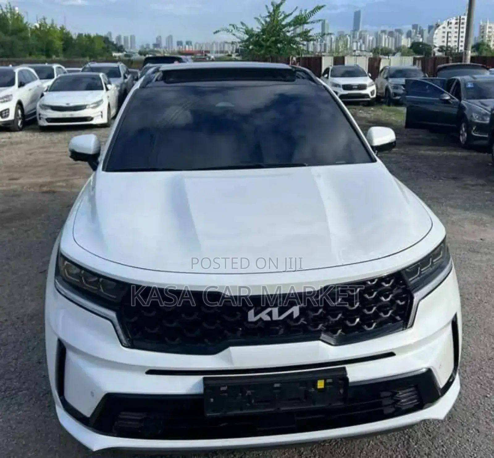 New Kia Sorento X-Line SX Prestige 2024 White