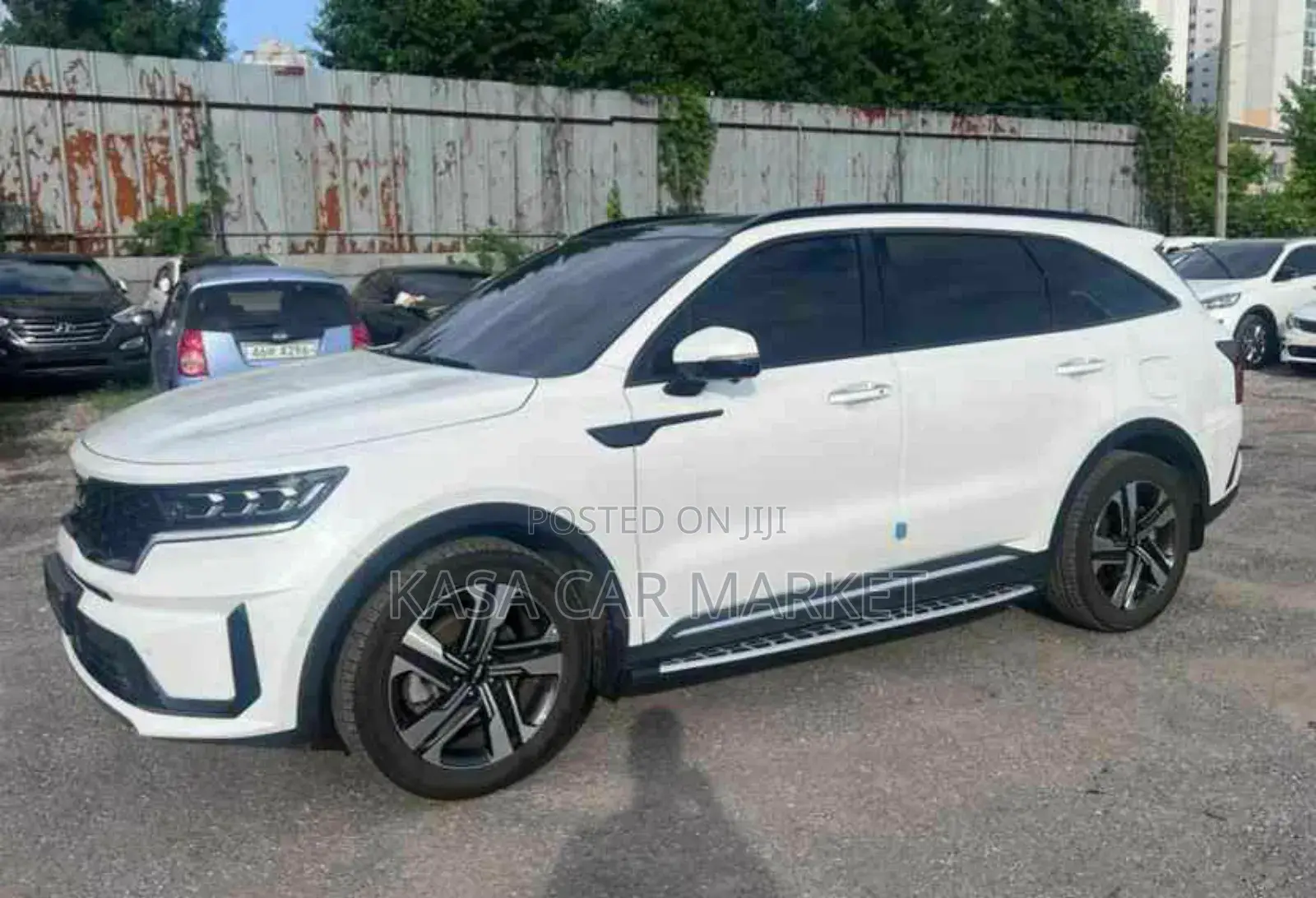 New Kia Sorento X-Line SX Prestige 2024 White