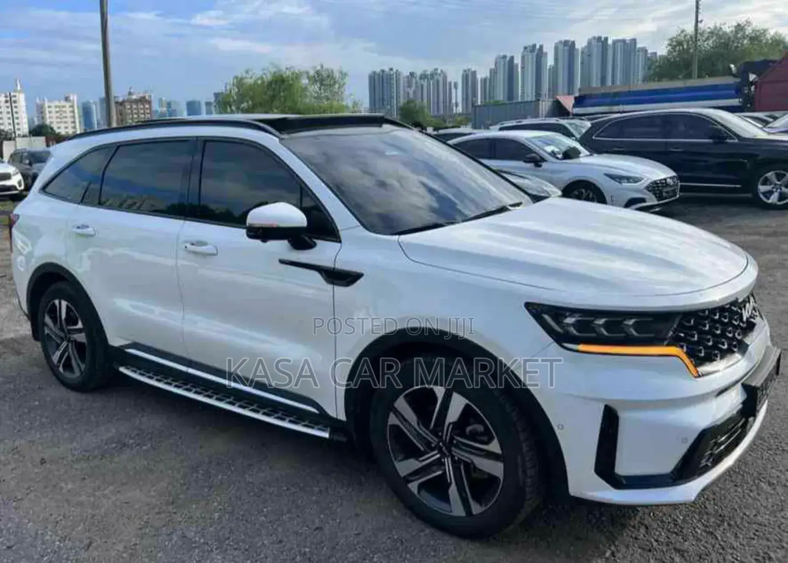 New Kia Sorento X-Line SX Prestige 2024 White