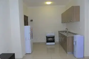 Furnished 1bdrm Apartment in Bole for rent