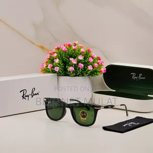 Prada Ray- Ban Sunglasses