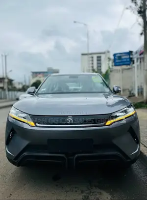 Photo - New BYD Song Plus 2024 Blue