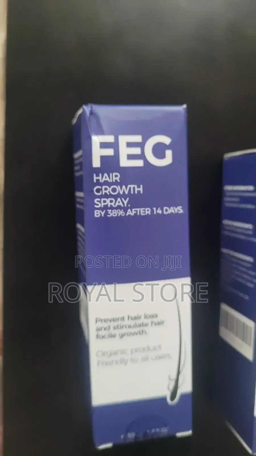 Feg Yetsegurna Yetsim Masadegiya