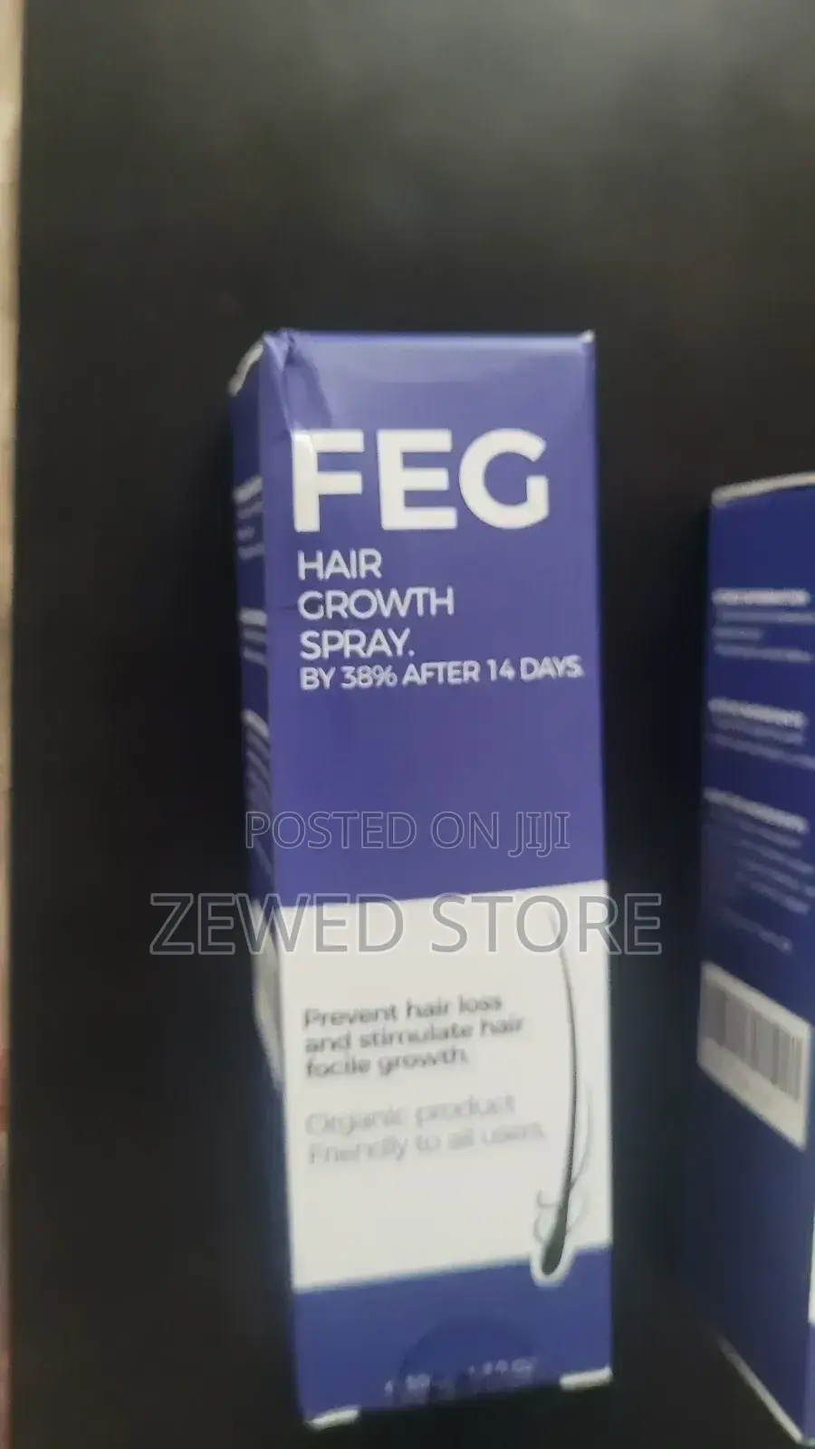 Feg Yetsegurna Yetsim Masadegiya