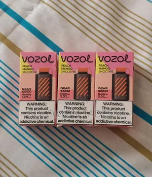 10000puff Vape Vozol Mango Flover