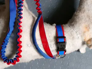 Complete Leash and Collars