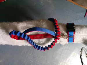 Complete Leash and Collars